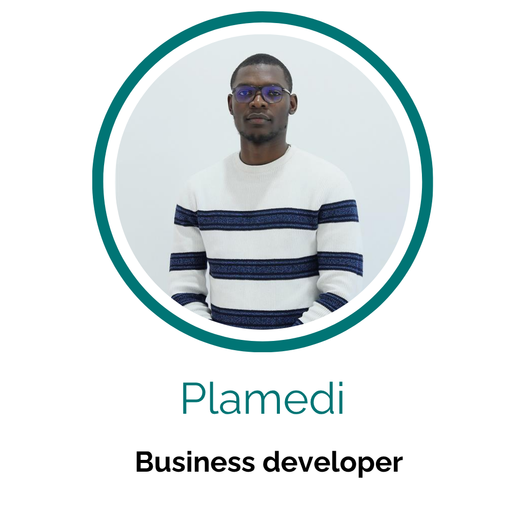 plamedi business developer