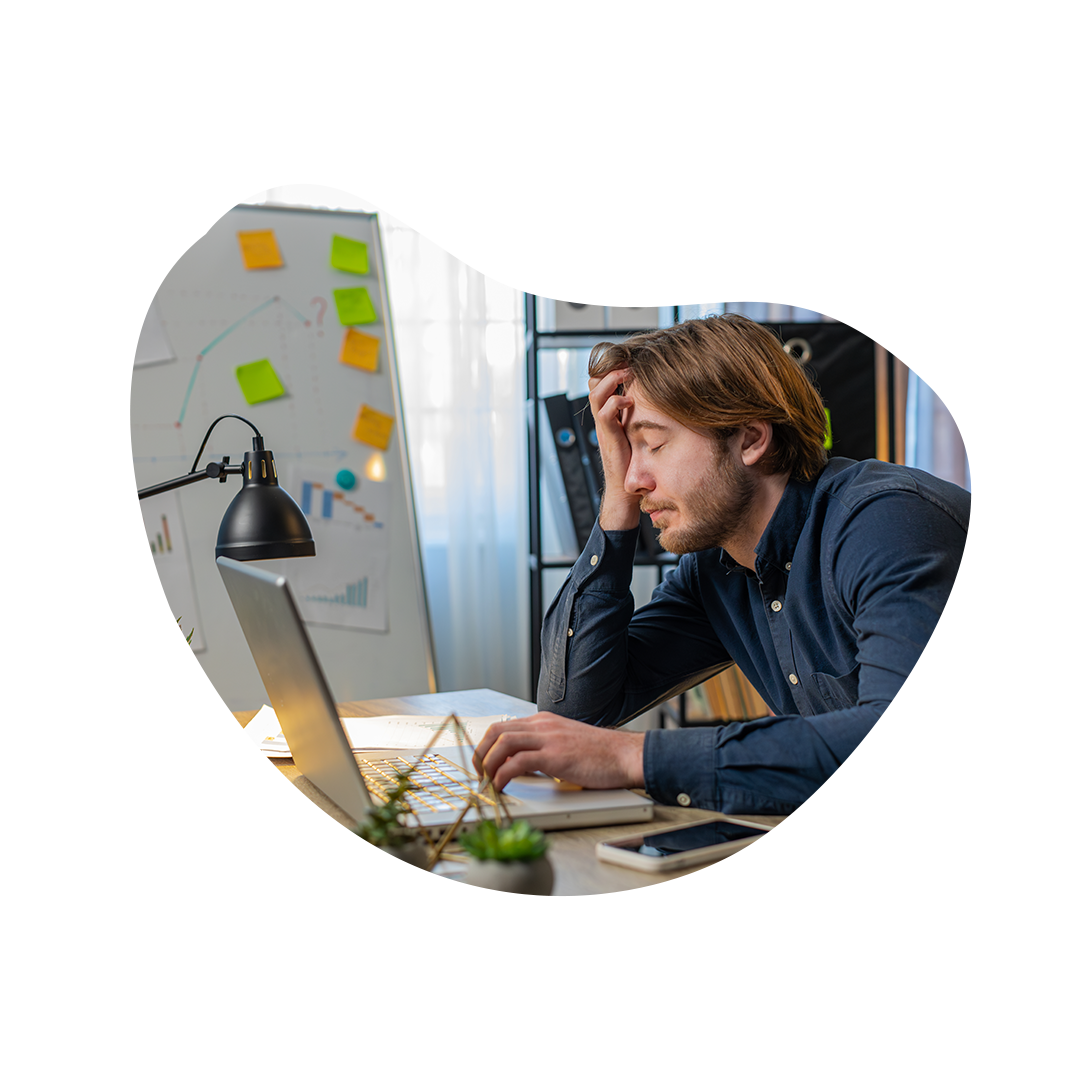 parcours d'un développeur C++